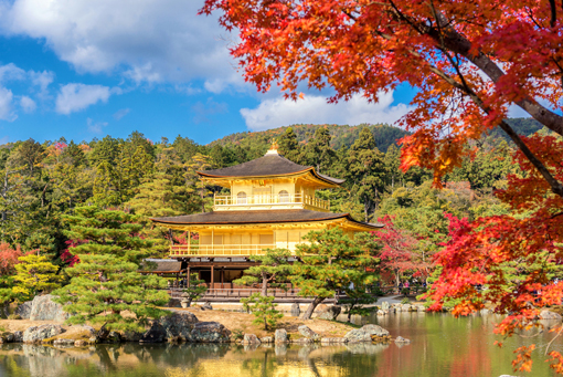 Ngày 04: TOYOTA CITY – KYOTO - OSAKA